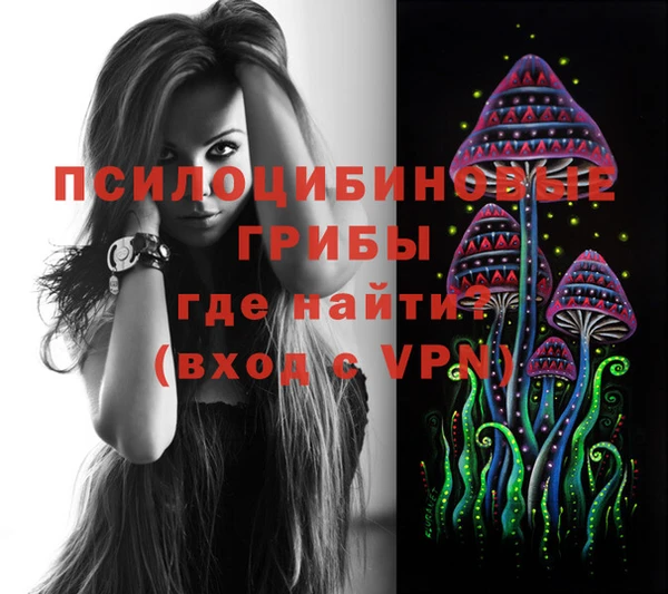 МДПВ Северо-Курильск