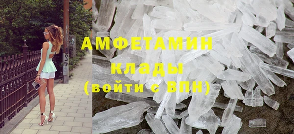 стаф Магас