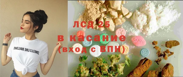 стаф Магас