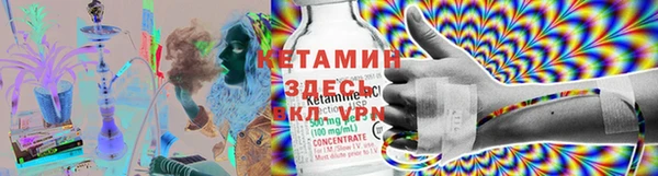 стаф Магас
