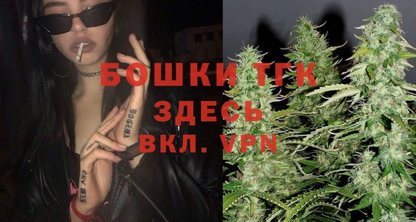 стаф Магас
