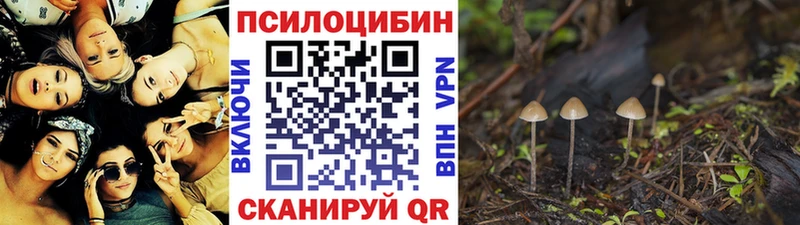 где купить наркоту  Ардон  Псилоцибиновые грибы мухоморы 